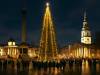 A Árvore de Natal da Gratidão que Ilumina Trafalgar Square