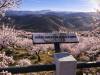 Rota das Amendoeiras em Flor no Douro Superior e Nordeste Transmontano