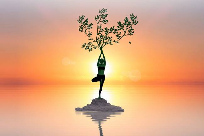 Como chegar aos 120 anos de idade…com saúde?