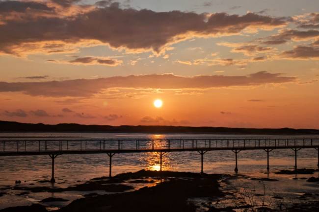 Em tempos sombrios, resistir é um ato de humanidade