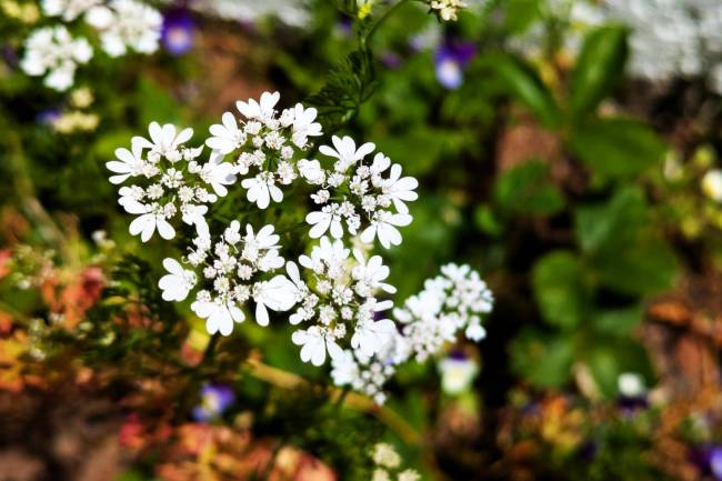 O Silêncio que Nos Desumaniza