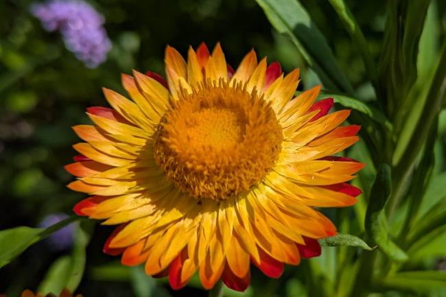 Educação para a Sexualidade: Direito ou Retrocesso?