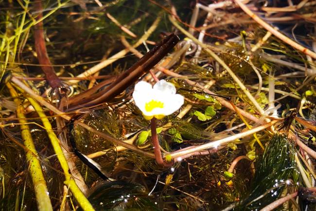 A Crise da Nossa Civilização