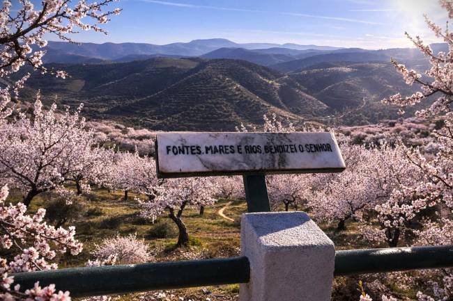 Rota das Amendoeiras em Flor no Douro Superior e Nordeste Transmontano