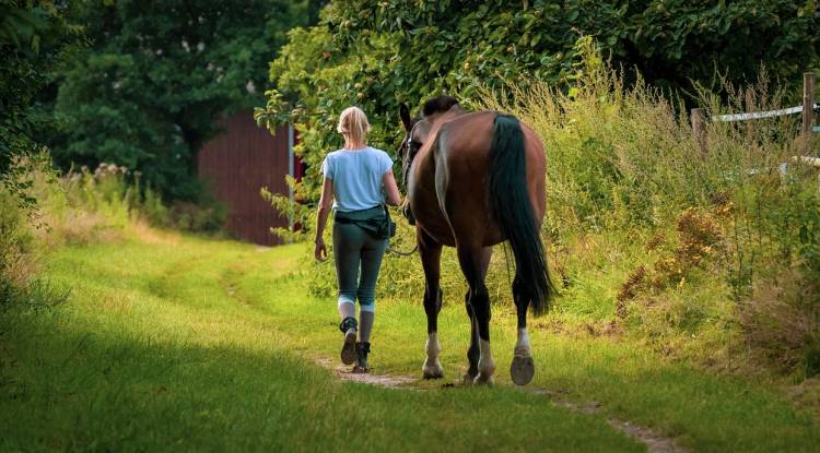 mulher a andar a pé juntamente com o cavalo, simbolicamente até Tomar em Portugal