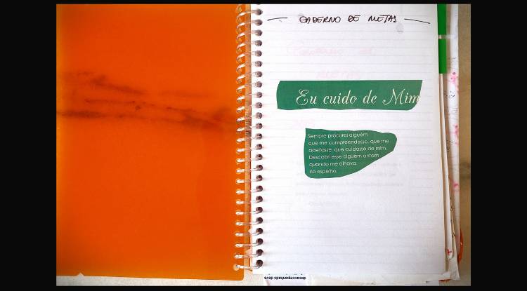 Caderno de metas 2004 de Ana Bacellar