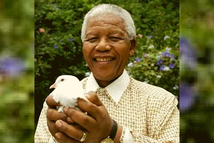 Nelson Mandela: Símbolo dos Direitos Humanos 