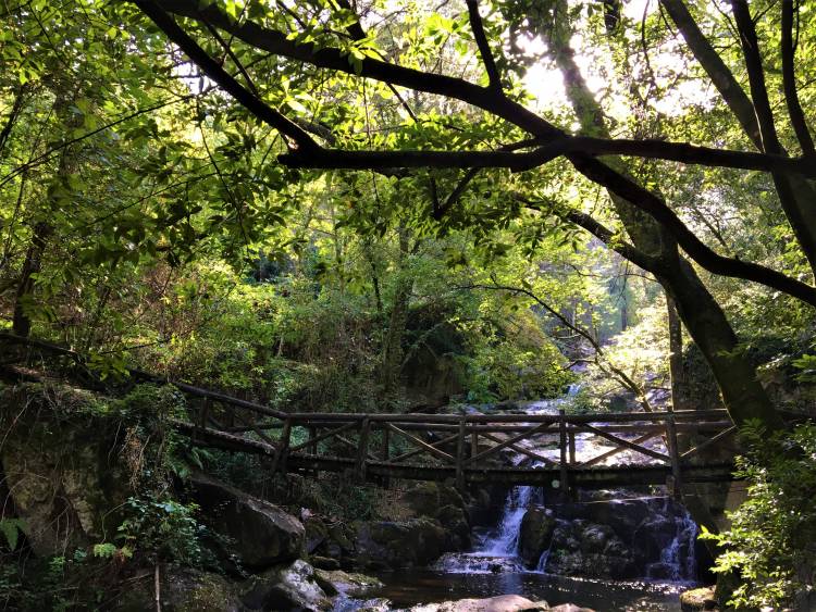 Receber, Aceitar e Mudar