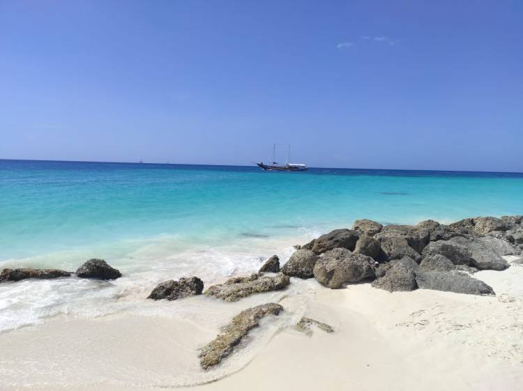 Viver no Paraíso Natural