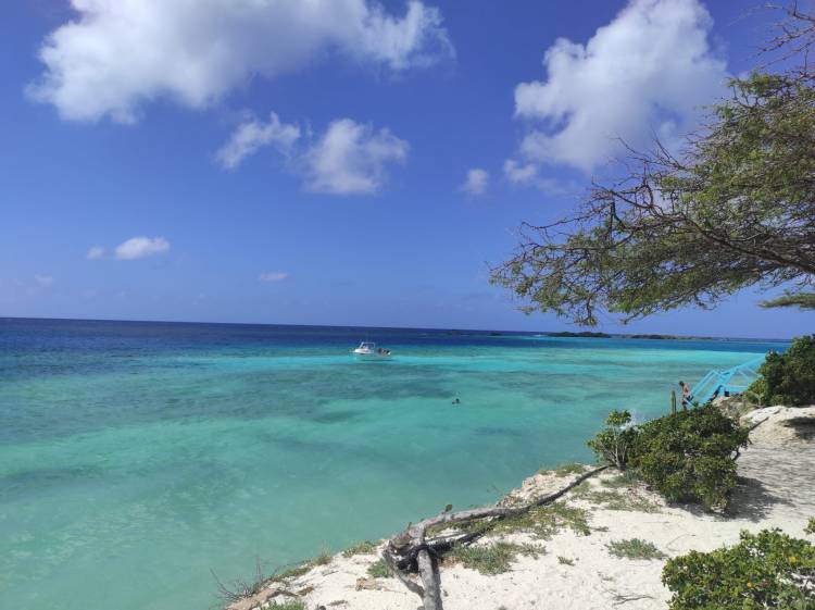 Viver no Paraíso Natural