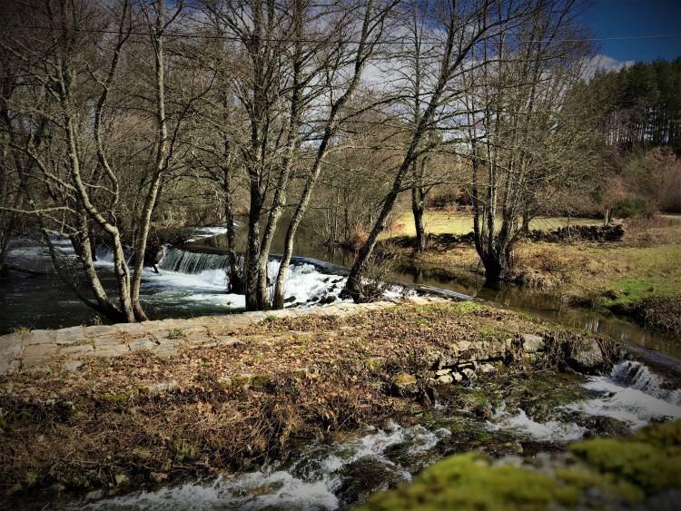 Pelo Caminho do Humano...