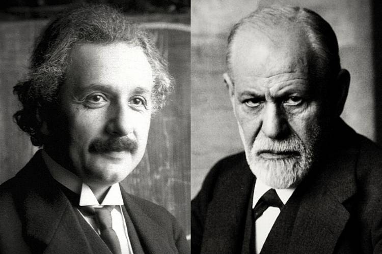 Uma Paz que se Educa