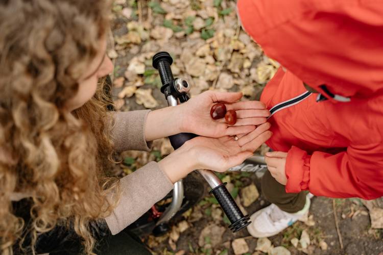 O Magusto é o Halloween do norte de Portugal e da Galiza