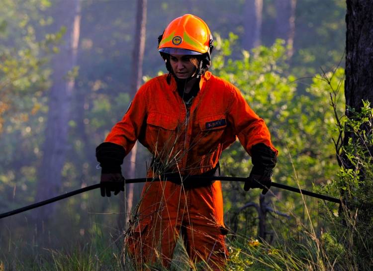 É Essencial a Formação sobre Segurança em Incêndios Florestais