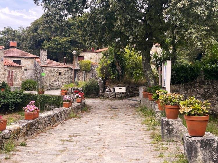 Vale de Cambra e Oliveira de Azeméis: Tesouros Escondidos de Portugal
