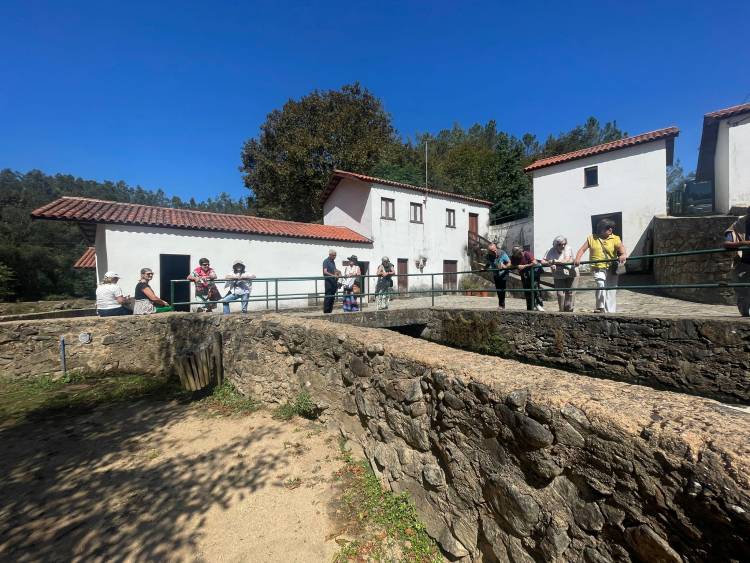 Vale de Cambra e Oliveira de Azeméis: Tesouros Escondidos de Portugal