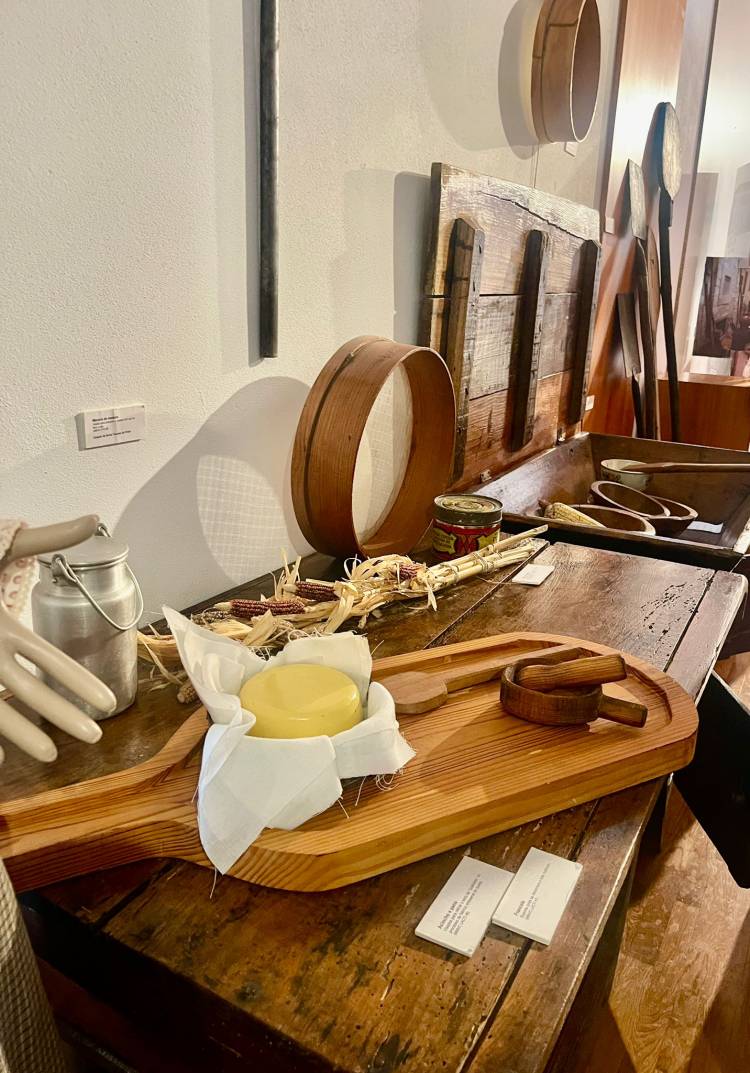 Vale de Cambra e Oliveira de Azeméis: Tesouros Escondidos de Portugal