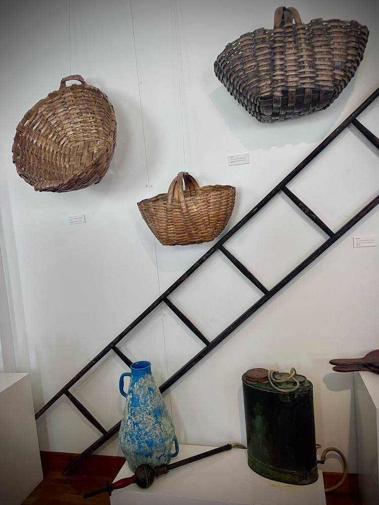 Vale de Cambra e Oliveira de Azeméis: Tesouros Escondidos de Portugal